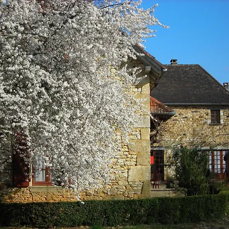 Hotel Chastrusse